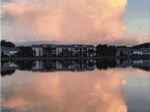 Our Lake Our Lake