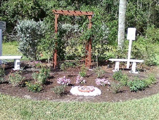 Butterfly Garden Butterfly Garden