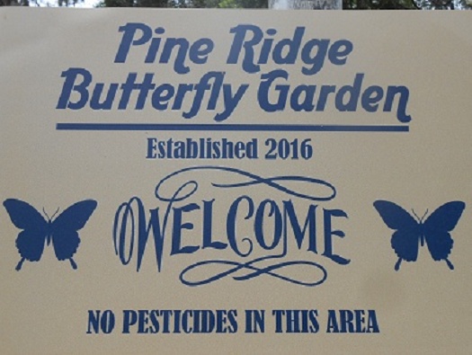 Butterfly Garden Butterfly Garden
